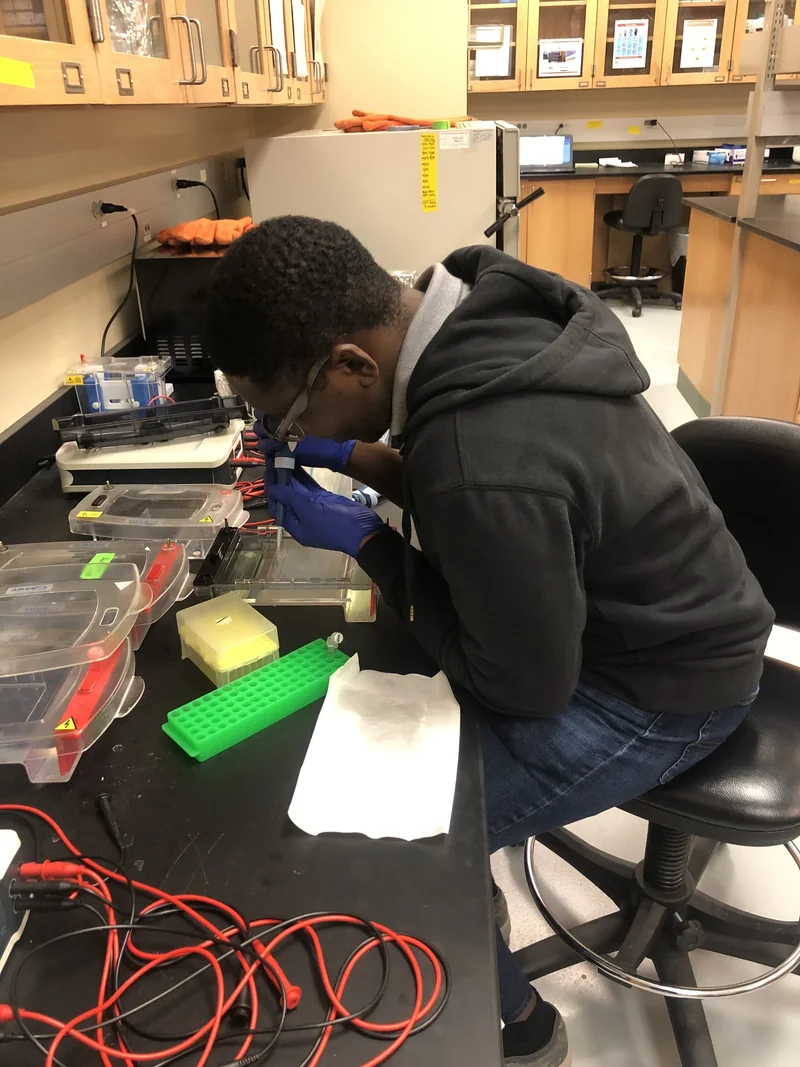 A gloved researcher uses a micropipette beside a gel tray, tube rack and electrophoresis equipment.