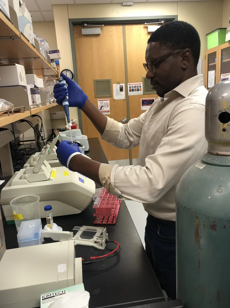 A researcher in a light shirt and blue gloves uses a micropipette to work with a small sample tube.