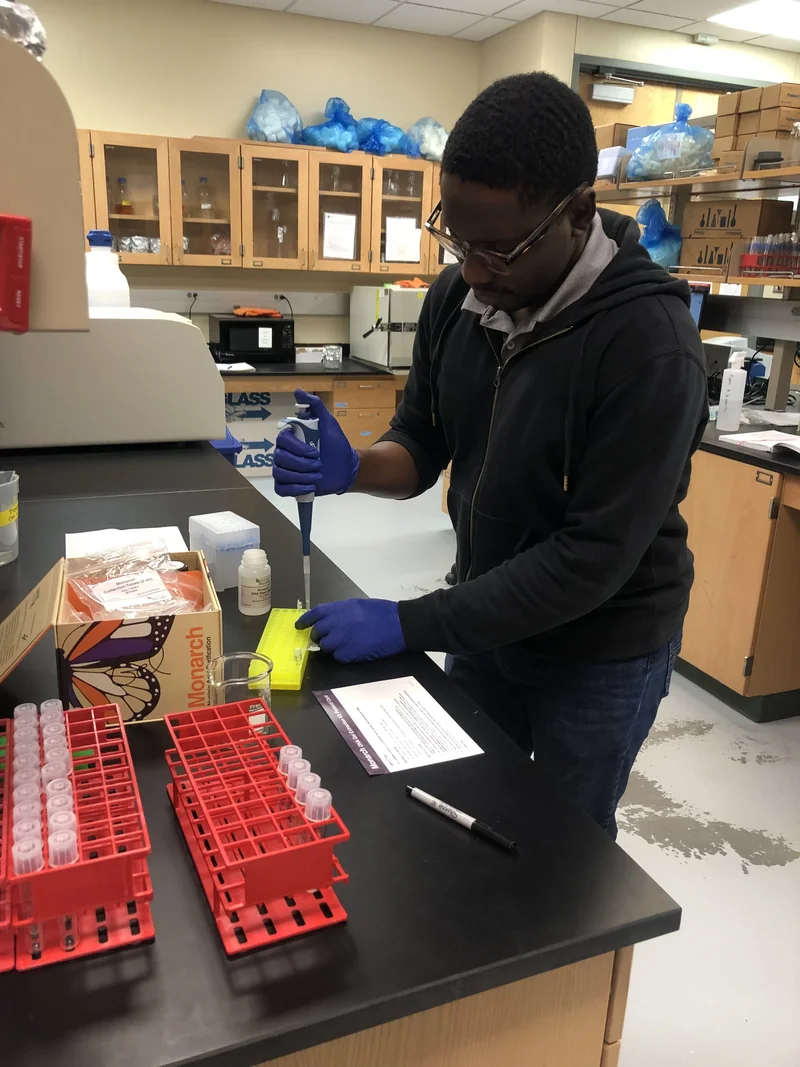 A researcher in blue gloves uses a micropipette over tubes in a yellow rack on a laboratory bench.